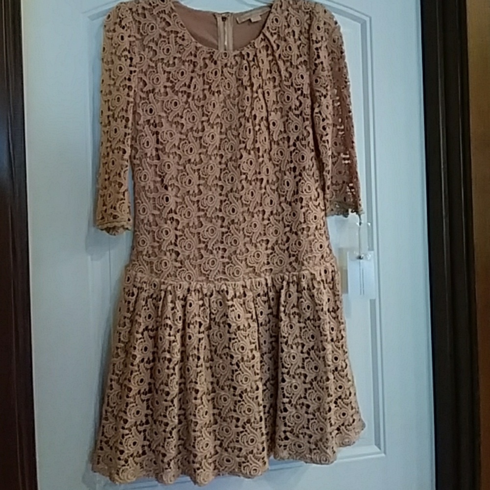 Champagne and Strawberry Dress